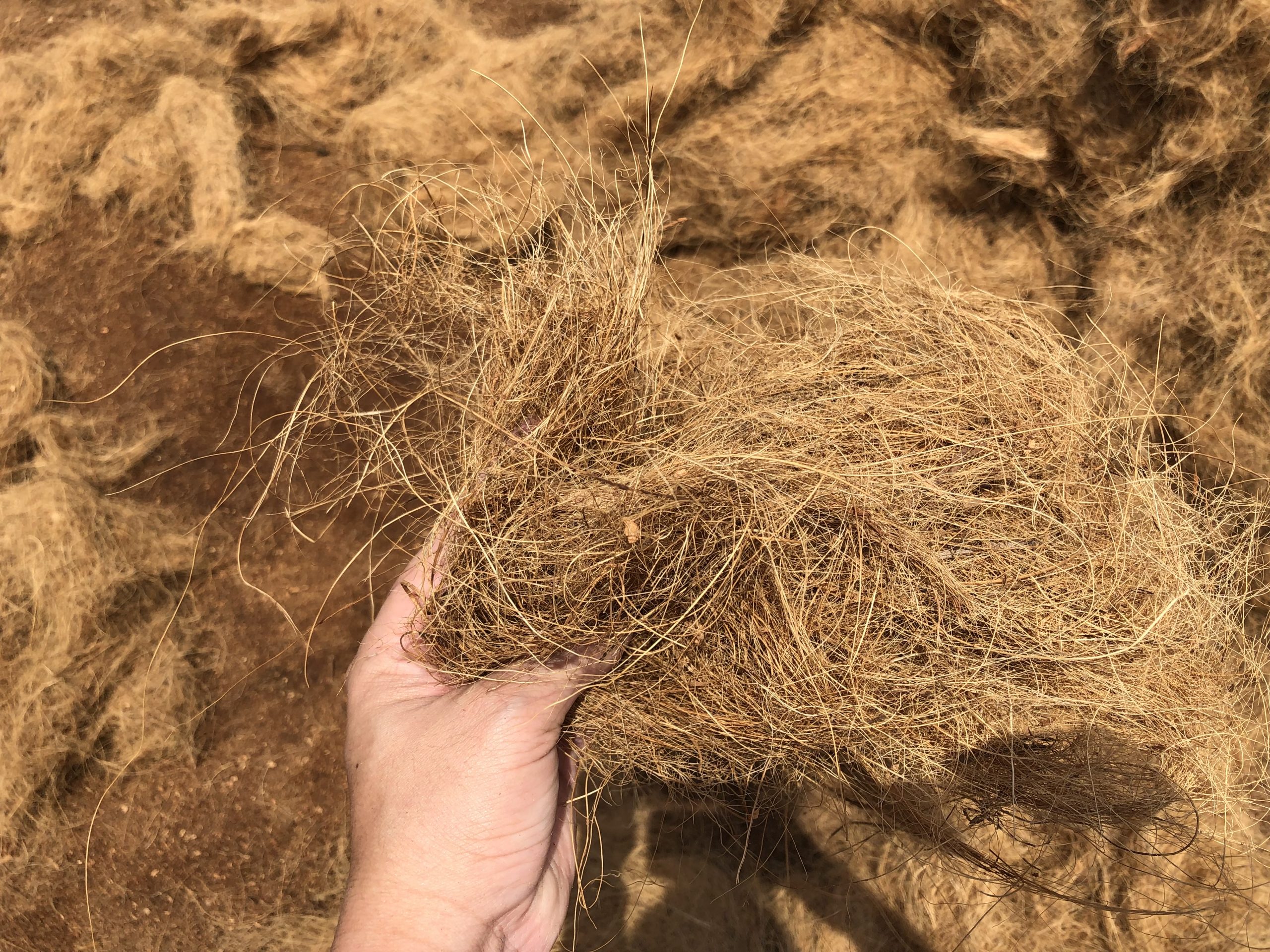 Pemanfaatan sabut kelapa