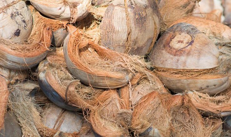 Usaha Limbah Sabut Kelapa, Peluang Emas dari Sumber Daya Terabaikan