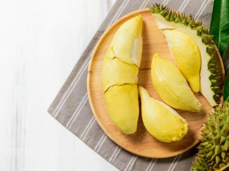 Solusi Usaha Olahan Durian Menjanjikan dengan Inovasi Produk