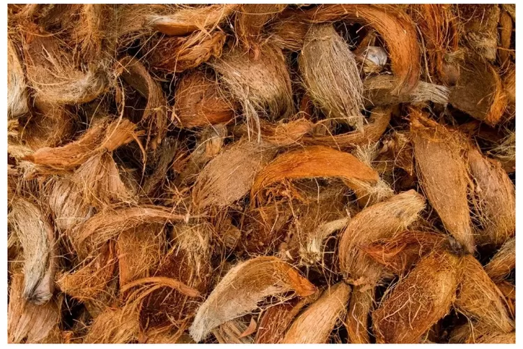 Alat Kupas Sabut Kelapa Cepat untuk Produksi Efisien