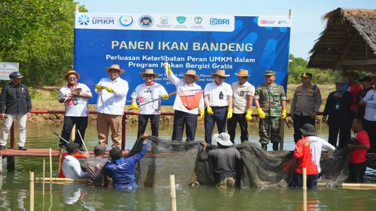 Peran UMKM dalam MBG untuk Mendorong Ekonomi dan Gizi