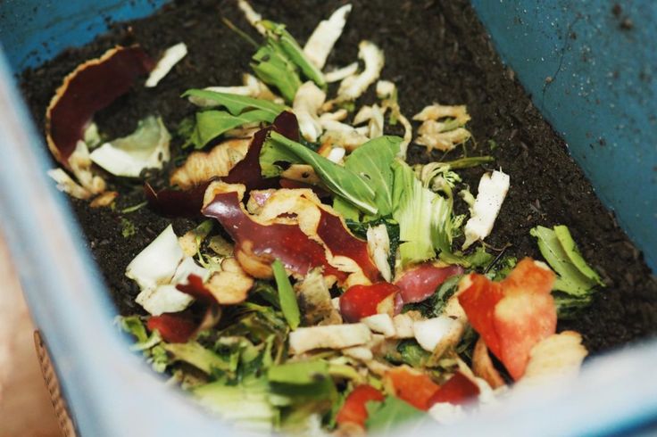 Cara Membuat Pupuk Kompos Sederhana Alami