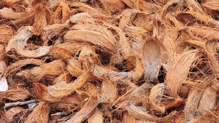 Sabut Kelapa untuk Geotekstil sebagai Solusi Pengendalian Erosi Ramah Lingkungan dan Berkelanjutan