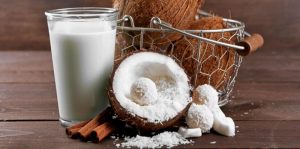 Usaha Santan Siap Jual Praktis dan Berkualitas