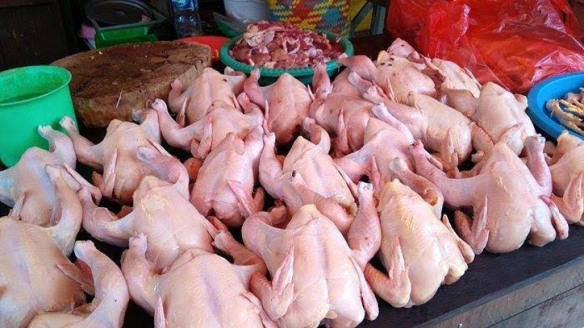 bisnis kuliner bahan ayam