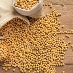 Penyebab Kerusakan Mesin Giling Kedelai yang Sering Terjadi